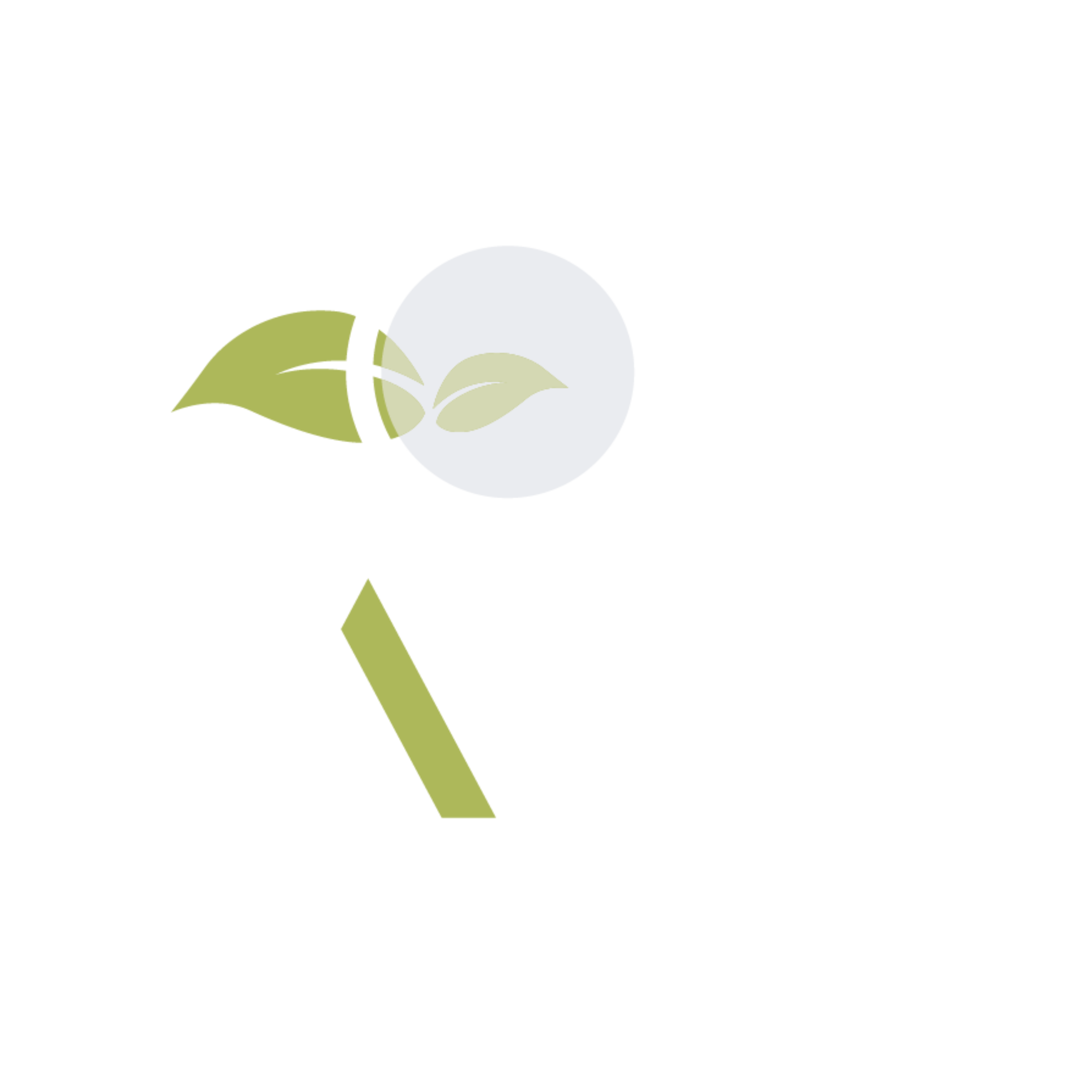 IPACER